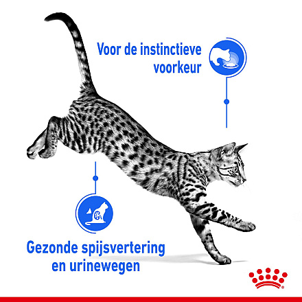 Royal Canin Kattenvoer Indoor 7+ in Gravy <br>12 x 85 gr