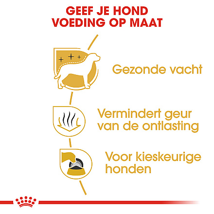 Royal Canin Hondenvoer Maltese Adult 1,5 kg