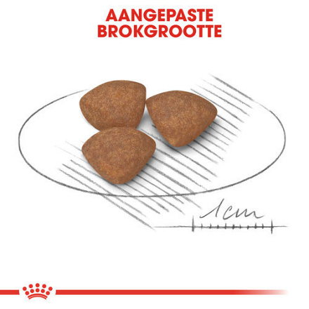 Royal Canin Hondenvoer Mini Puppy 800 gr