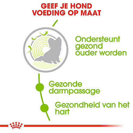 Royal Canin Hondenvoer<br> X-Small Ageing 12+<br> 500 Gr