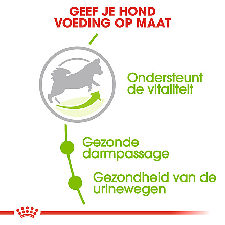 Royal Canin Hondenvoer<br> X-Small Adult 8+ 500 Gr