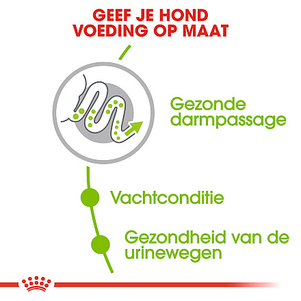 Royal Canin Hondenvoer<br> X-Small Adult 3 kg