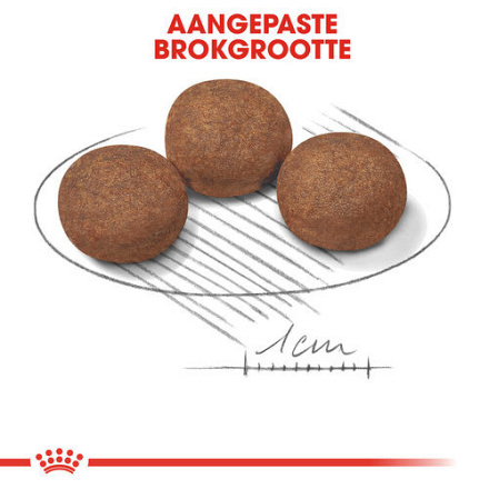 Royal Canin Hondenvoer Medium Puppy 10 kg