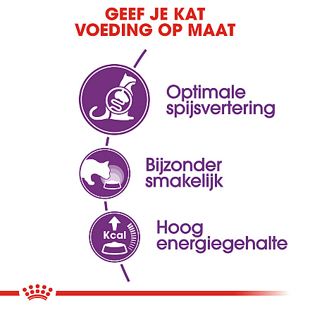 Royal Canin Kattenvoer Sensible 33 2 kg