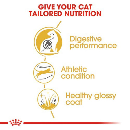 Royal Canin Kattenvoer Bengal Adult 2 kg