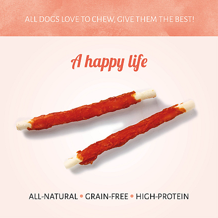 Antos Rawhide White Roll met Chicken <br>20 cm 2 st