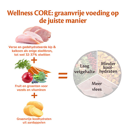 Wellness CORE hondenvoer Original <br>10 + 2 kg