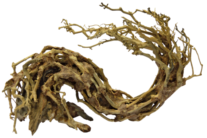 SuperFish Bonsai Wave L