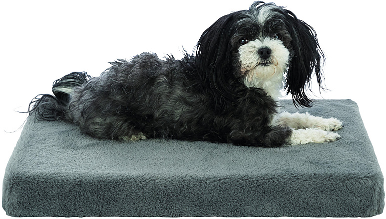 TRIXIE Orthopedisch hondenkussen Lonni Vital Grijs