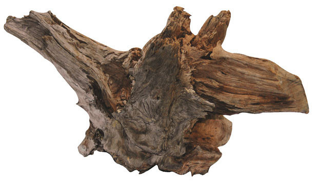 SuperFish Driftwood XS