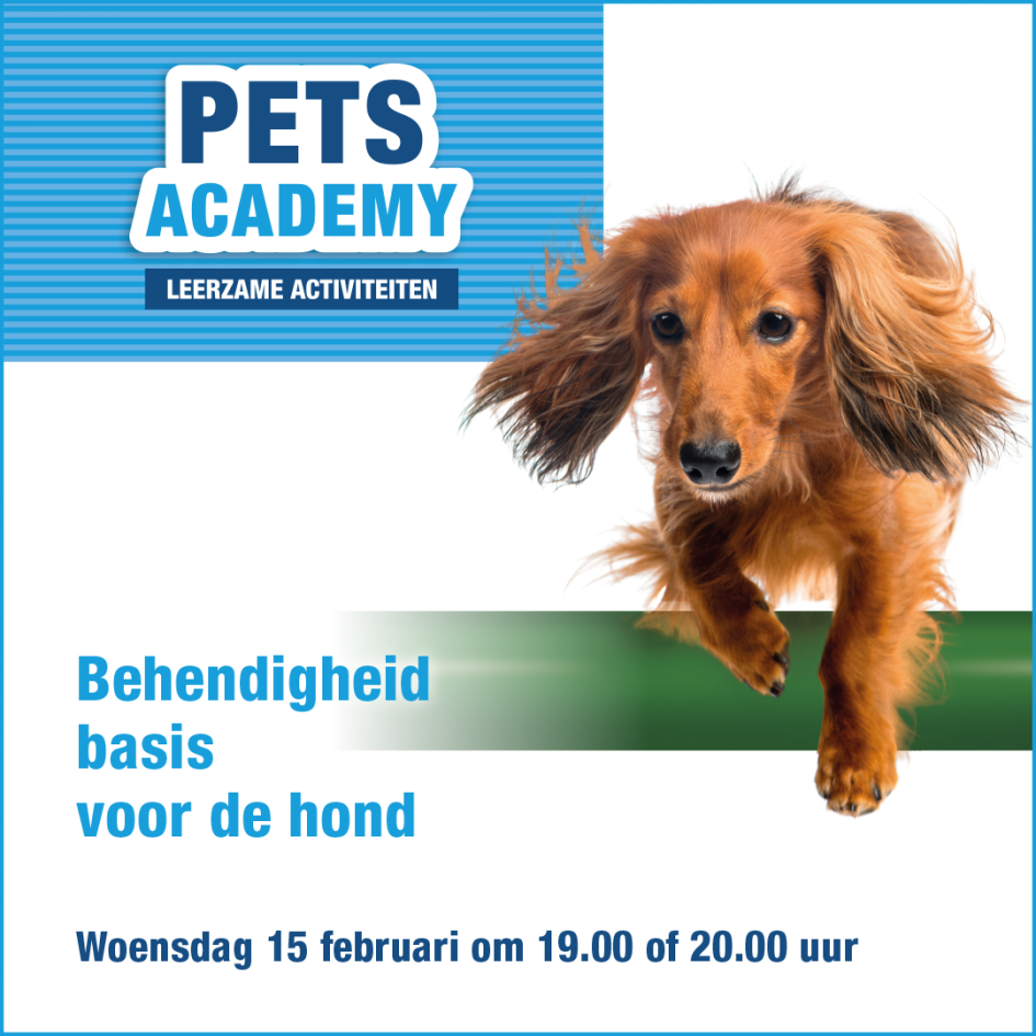 Beeld Behendigheid