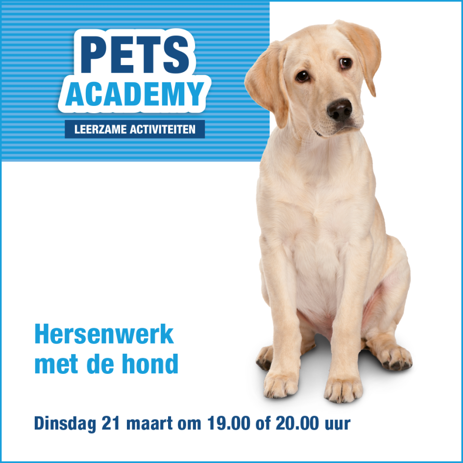 Beeld Hersenwerk