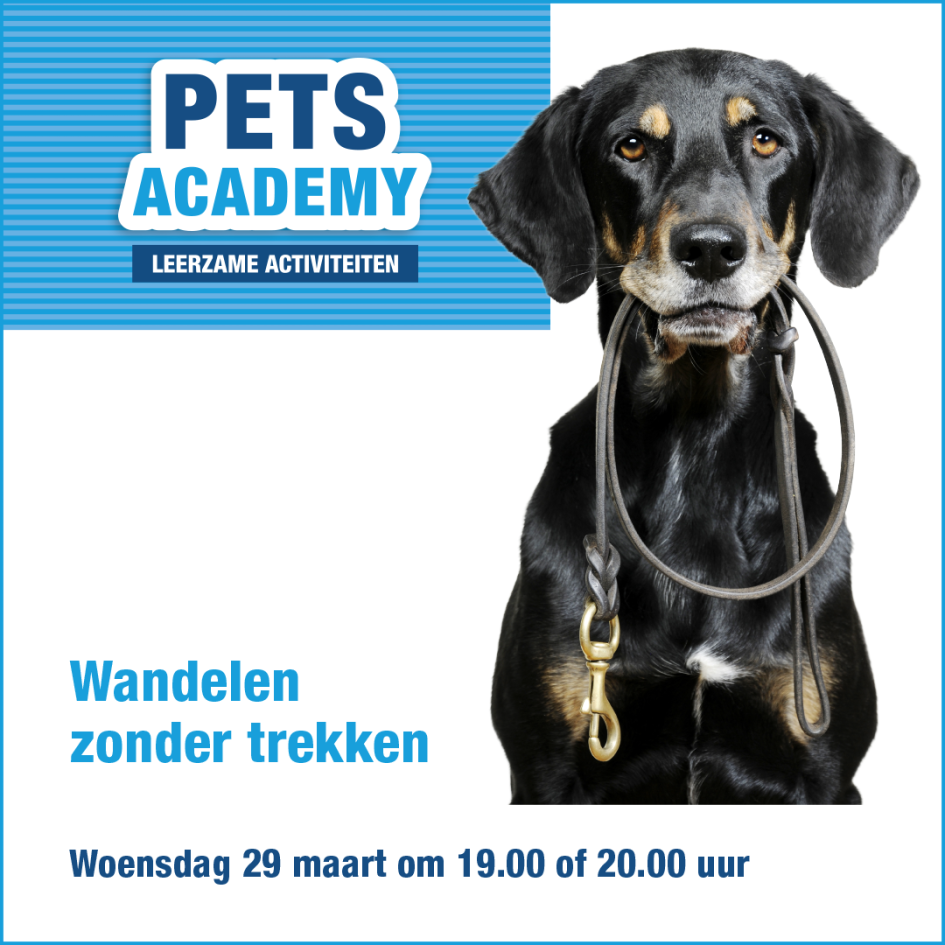 Beeld wandelen zonder trekken