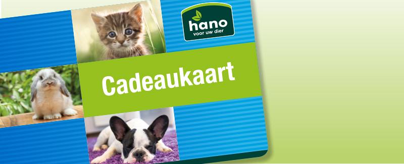 Verras iemand met onze cadeaukaart!